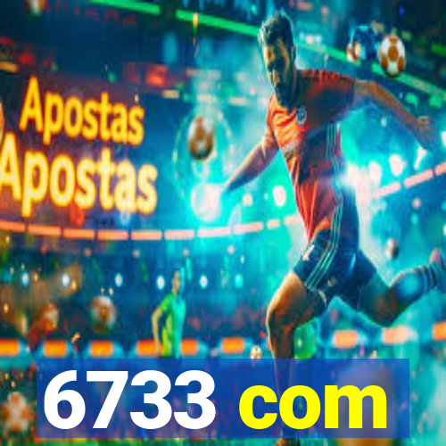6733 com