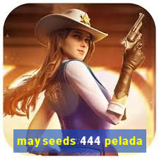 mayseeds 444 pelada