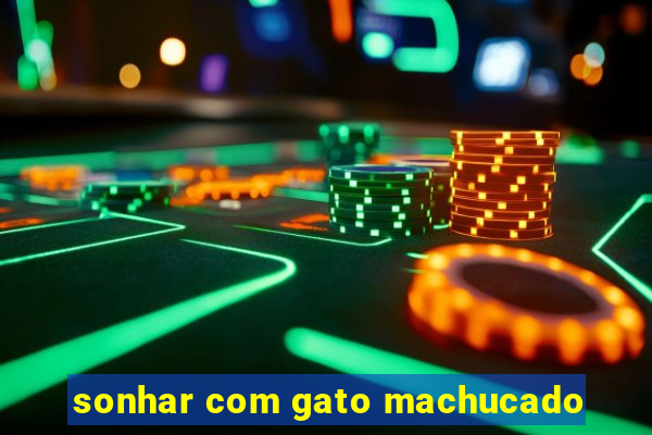 sonhar com gato machucado