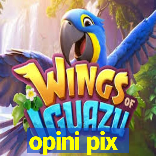 opini pix