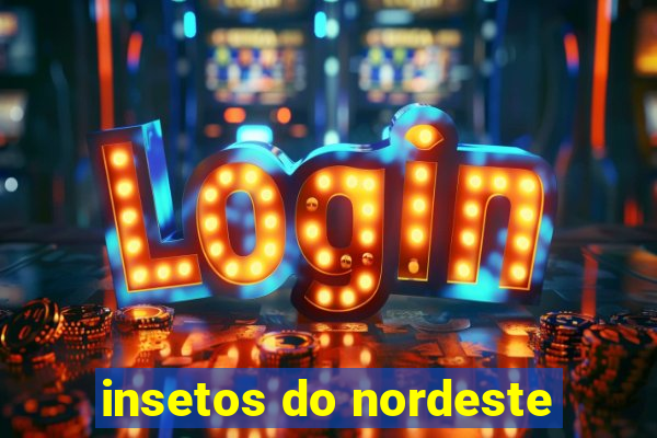 insetos do nordeste
