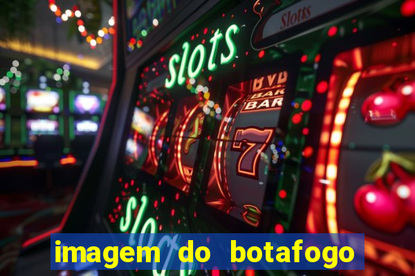 imagem do botafogo zuando o palmeiras