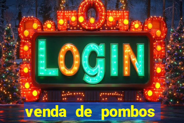 venda de pombos correios olx