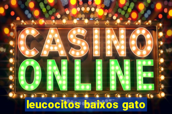 leucocitos baixos gato