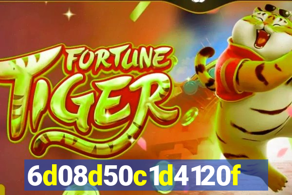 312bet plataforma