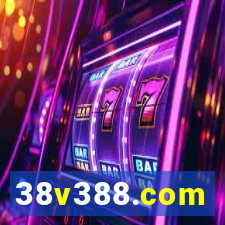 38v388.com