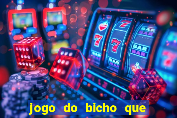 jogo do bicho que paga no pix
