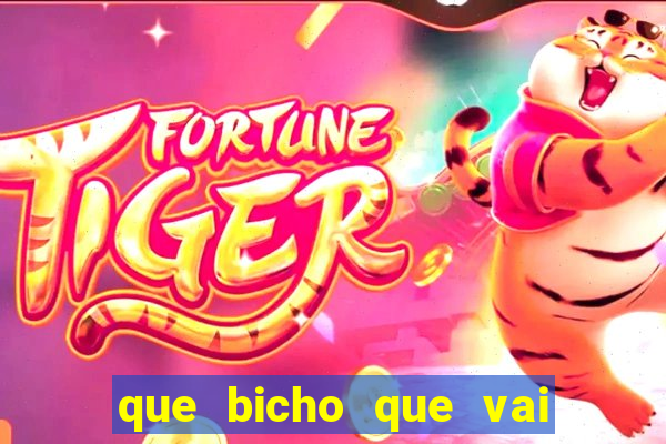 que bicho que vai dar hoje
