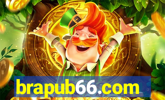 brapub66.com