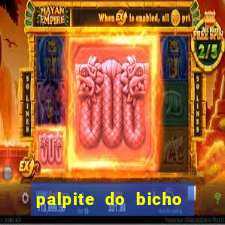 palpite do bicho deu no poste