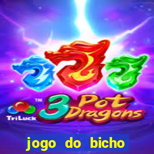jogo do bicho feira de santana