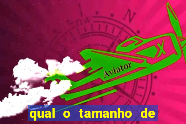 qual o tamanho de uma barra de ouro de 1kg