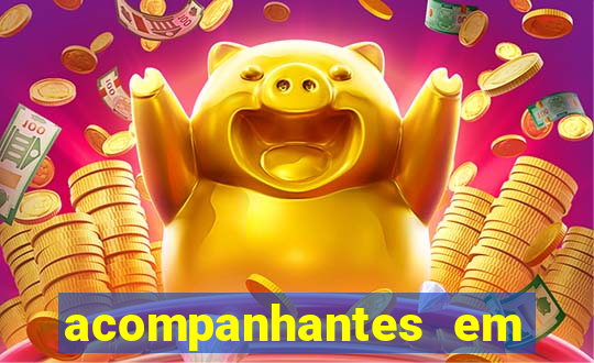 acompanhantes em porto nacional