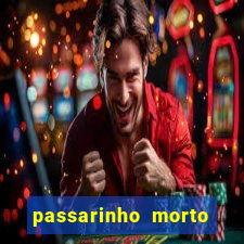passarinho morto significado espiritual