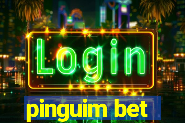 pinguim bet
