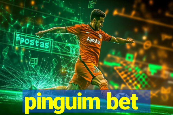 pinguim bet
