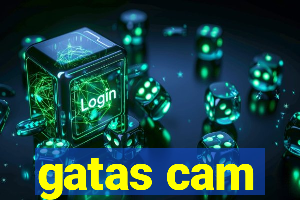 gatas cam