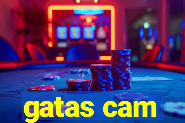 gatas cam