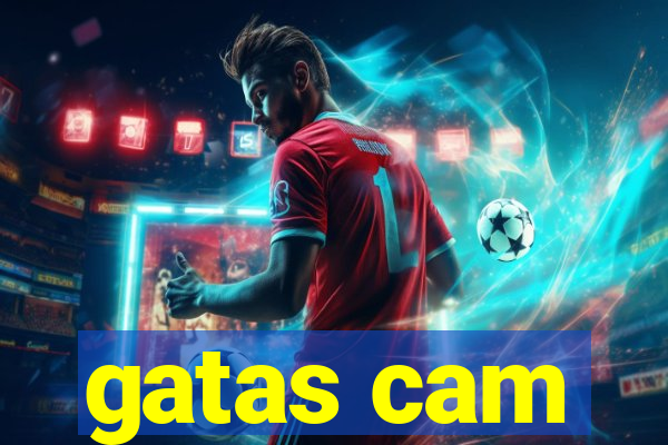 gatas cam