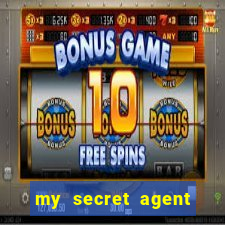 my secret agent husband legendado