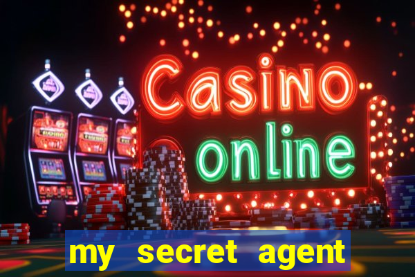 my secret agent husband legendado