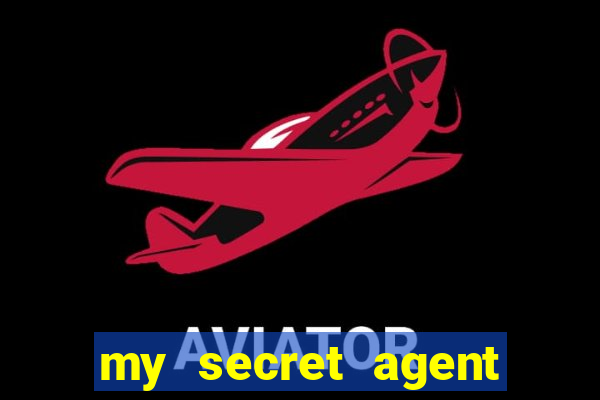 my secret agent husband legendado