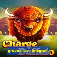 grupos do telegram mais de 18