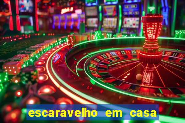 escaravelho em casa significado espiritual