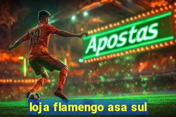 loja flamengo asa sul