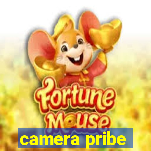 camera pribe