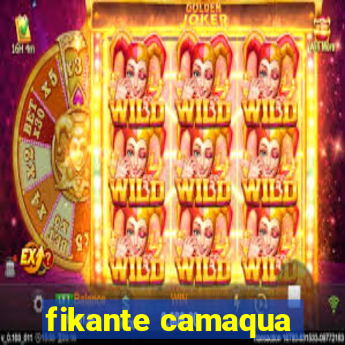 fikante camaqua