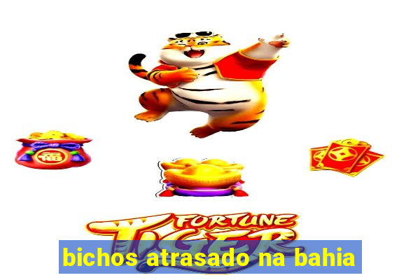 bichos atrasado na bahia