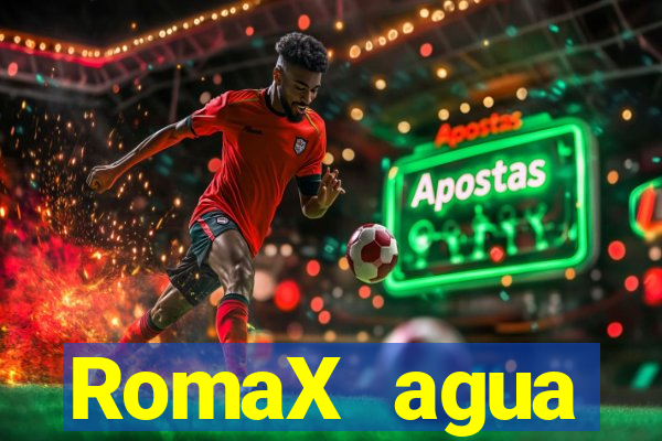RomaX agua sanitaria fispq agua sanitaria romax