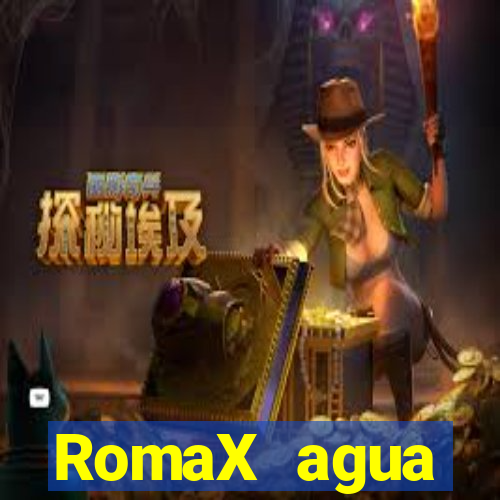 RomaX agua sanitaria fispq agua sanitaria romax