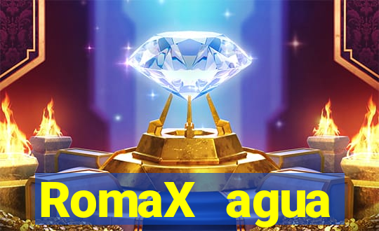 RomaX agua sanitaria fispq agua sanitaria romax