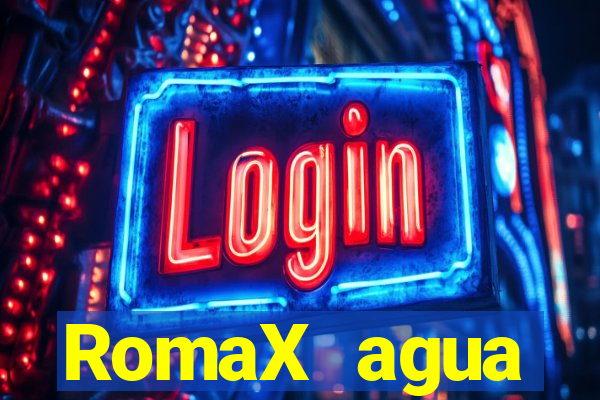 RomaX agua sanitaria fispq agua sanitaria romax