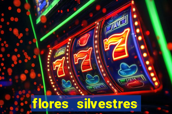 flores silvestres desbravadores desbravadores 25 flores silvestres e seus nomes