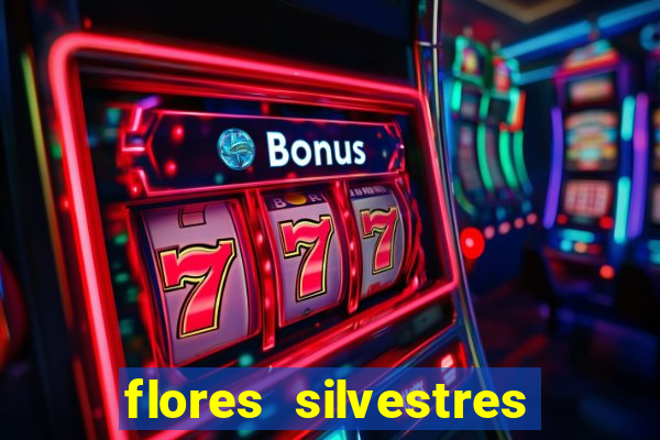 flores silvestres desbravadores desbravadores 25 flores silvestres e seus nomes