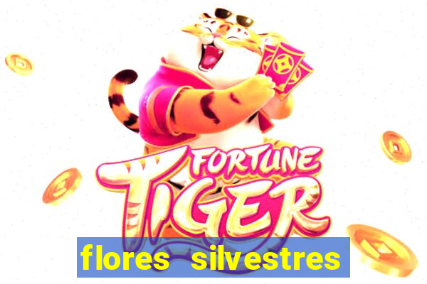 flores silvestres desbravadores desbravadores 25 flores silvestres e seus nomes