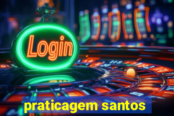 praticagem santos