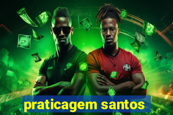praticagem santos