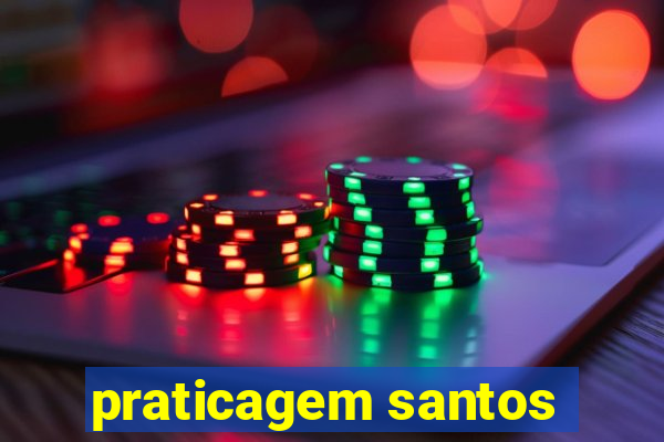praticagem santos