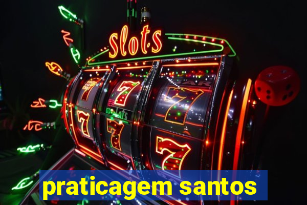 praticagem santos