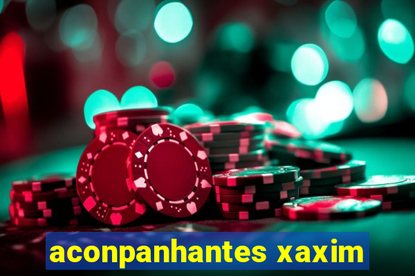 aconpanhantes xaxim