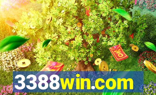 3388win.com