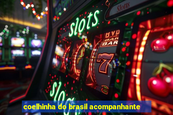 coelhinha do brasil acompanhante