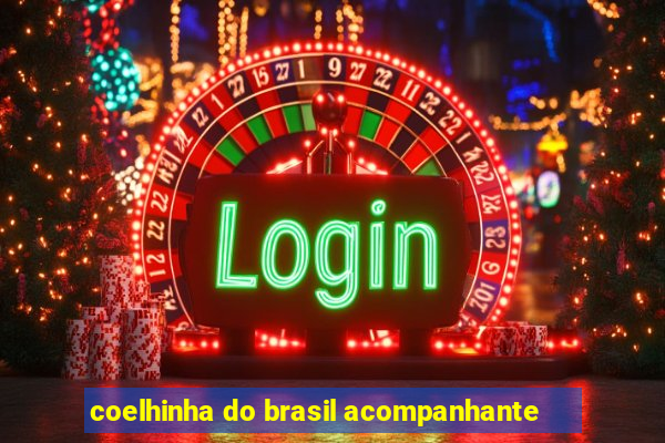 coelhinha do brasil acompanhante