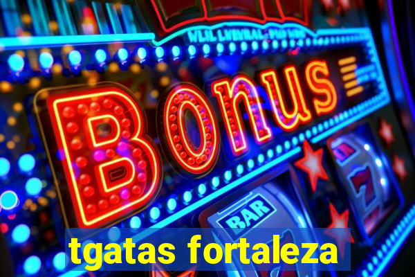 tgatas fortaleza