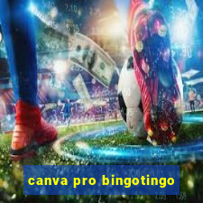 canva pro bingotingo