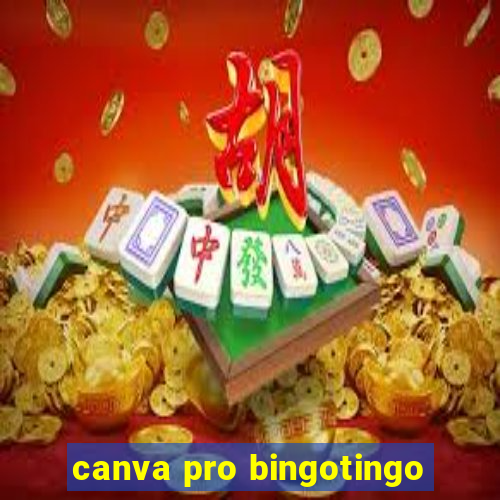 canva pro bingotingo